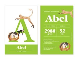 vrolijkegeboortekaartjes NL 01 Vrolijkegeboortekaartjes aapjesmg 300x229 - Geïllustreerde geboortekaartjes