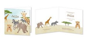 vrolijkegeboortekaartjes NL 05 Vrolijkegeboortekaartjes safarimg 300x144 - Geïllustreerde geboortekaartjes