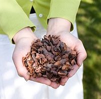 Duurzame cacaodoppen