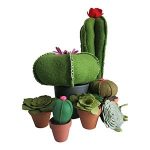 vilten-plantjes-vetplantjes-en-cactussen-van-vilt-marcelineke