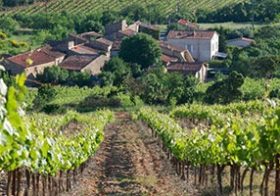 Culinaire wijnreis Languedoc